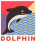 dolphin